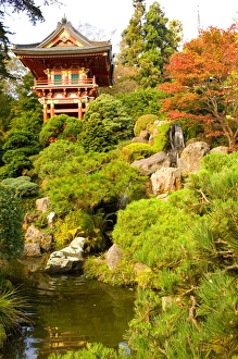 Michele Westmorland Prints: USA, California, San Francisco, Golden Gate Park, Japanese Tea Garden