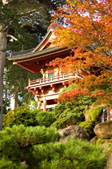 Michele Westmorland Prints: USA, California, San Francisco, Golden Gate Park, Japanese Tea Garden