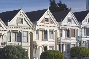 Alamo Square Prints: USA, California, San Francisco, The Haight, houses at Alamo Square