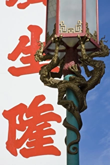 Character Prints: USA, California, San Francisco. Lamppost decorations of intertwined dragons with