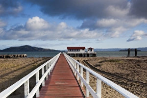 USA, California, San Francisco, Presidio, Golden Gate National Recreation Area, Crissy Field pier