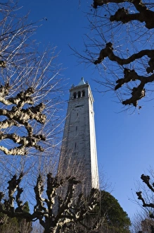 Images Dated 29th December 2010: USA, California, San Francisco Bay Area, Berkeley, University of California Berkeley