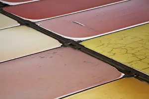 Industry Prints: USA, California, San Francisco - Colourful algae in salt evaporation ponds, Redwood City