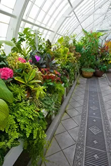 USA, California, San Francisco, Inside the San Francisco Conservatory of Flowers