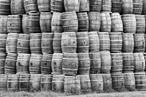 Images Dated 13th March 2005: USA, California, San Luis Obispo County. Large stack of wine barrels