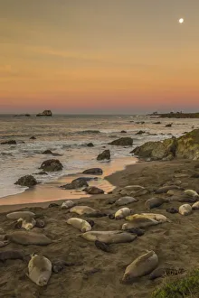 Images Dated 13th August 2019: USA, California, San Luis Obispo County