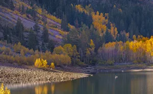 Kayak Prints: Usa, California, Sierra Nevada