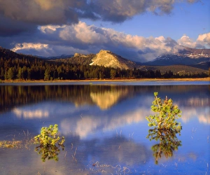 USA, California, Sierra Nevada Mountains. ALembert Dome reflecting in a flooded Tuolumne River
