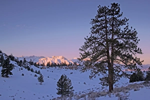 Images Dated 2005 February: 1 Feb 2005 Collection