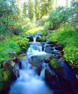 Images Dated 6th May 2014: USA, California, Sky Meadows in the Sierra Nevada Mountains, CA