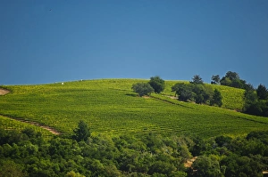 Images Dated 25th September 2009: USA, California, Sonoma, Healdsburg. The hillsof the Alexander Valley