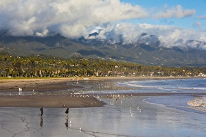 Images Dated 22nd December 2010: USA, California, Southern California, Santa Barbara, harborfront and beach