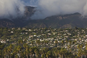 Images Dated 22nd December 2010: USA, California, Southern California, Santa Barbara, hillside with mist