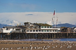 Images Dated 22nd December 2010: USA, California, Southern California, Santa Barbara, Harbor and Stearns Wharf