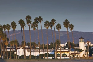 Images Dated 24th December 2010: USA, California, Southern California, Santa Barbara, Cabrillo Boulevard, palms, morning