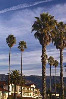 USA, California, Southern California, Santa Barbara, Cabrillo Boulevard, palms, morning