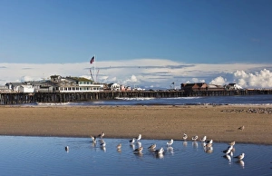 USA, California, Southern California, Santa Barbara, Harbor and Stearns Wharf