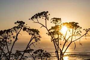 USA, California. Sunset over the Pacific Ocean, seen from Pacific Coast Highway on San