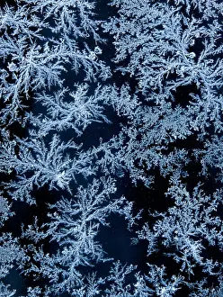 Lake Tahoe Prints: USA, California, Tahoe City, Morning frost on car window