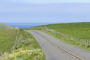 Two Lane Prints: USA, California. Two-land road through Point Reyes National Seashore