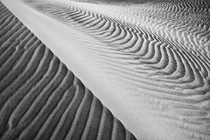 Images Dated 24th October 2010: USA California Valley Dunes 22