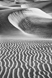 USA California Valley Dunes 23