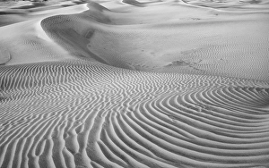 Images Dated 27th October 2010: USA California Valley Dunes 24