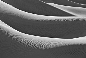 Images Dated 27th October 2010: USA California Valley Dunes 25