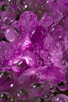 Images Dated 21st May 2006: USA, California. Water droplets on a spider web