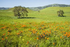 USA: California, No Water No Life, CA Drought Expedition 4, rt 25, west of Diablo Mtn Range