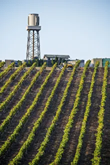 USA California, No Water No Life CA Drought Expedition # 5, farmland off US1 (Pacific Coast Highway