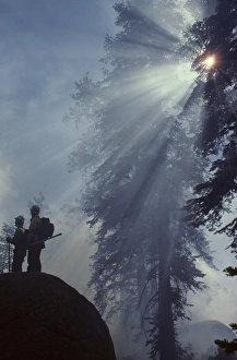 USA, California, Wildland Fire, Forest Fire, Sequoia and Kings Canyon National Park