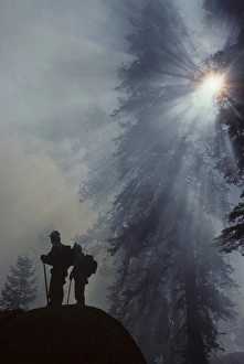 USA, California, Wildland Fire, Forest Fire, Sequoia and Kings Canyon National Park