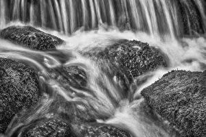 Yosemite Prints: USA, California, Yosemite, Fern Spring