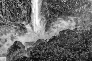 Images Dated 15th February 2019: USA, California, Yosemite, Fern Spring