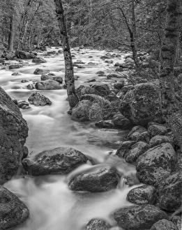 Flowing Prints: USA California Yosemite Happy Isles