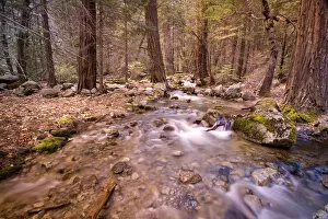Images Dated 22nd April 2007: USA, California, Yosemite National Park. Water calmly flows through stream in Yosemite s