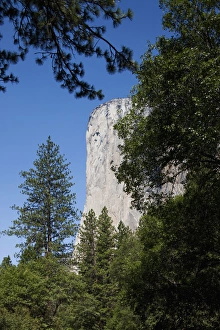 Images Dated 9th July 2009: USA, California, Yosemite National Park, El Capitan rises above forest along Merced