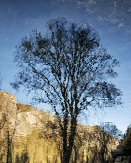 El Capitan Prints: USA, California, Yosemite National Park, Abstract reflection in the Merced River