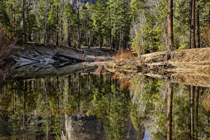 Yosemite Prints: USA, California, Yosemite National Park, Reflections in the Merced River