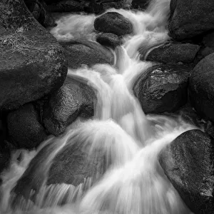 Square Format Prints: USA, California, Yosemite National Park, Alder Creek