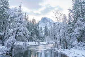 Jaynesgallery Prints: USA, California, Yosemite National Park