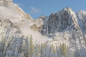 Frost Prints: USA, California, Yosemite National Park