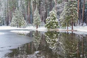 Images Dated 14th February 2024: USA, California, Yosemite National Park