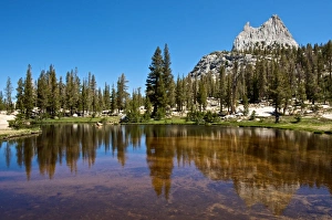 Images Dated 14th July 2009: USA, California, Yosemite National Park. Cathedral Peak reflected in a glacial tarn