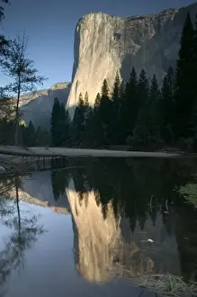 USA, California, Yosemite National Park: El Capitan (El. 7569 Ft. / 2307 M. ) Dawn View