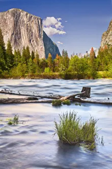 El Capitan Prints: USA, California, Yosemite, Valley View