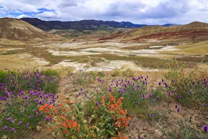 Painted Hill Prints: USA, Central Oregon, Redmond, Bend, Mitchell