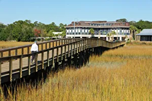 Marina Prints: USA, Charleston, South Carolina. The boardwalk at Shem Creek Park in Mt