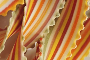 Dine Prints: USA. Close-up of dried rainbow pasta noodles